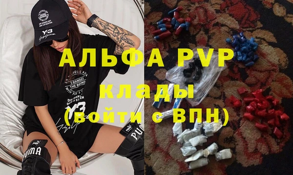 стаф Аркадак