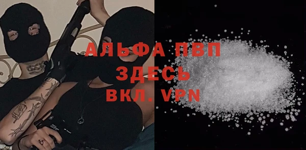 стаф Аркадак