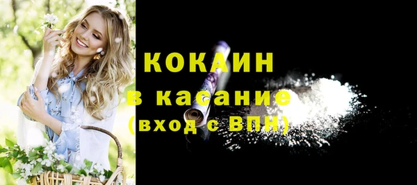 стаф Аркадак