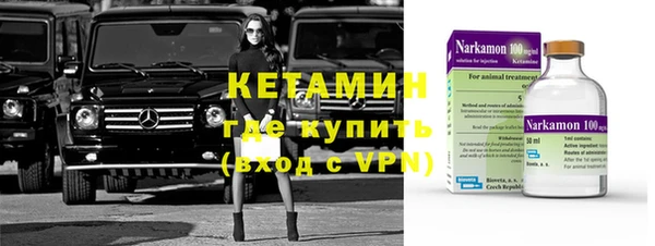 стаф Аркадак