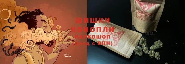 стаф Аркадак