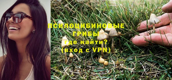 твердый Арсеньев